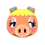 Pancetti